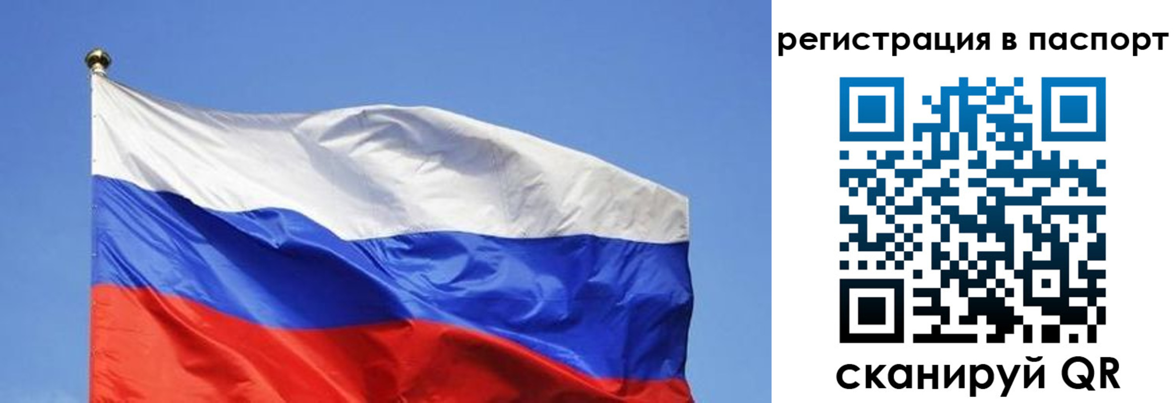 прописка в квартире в Дмитрове